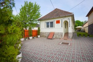 Angela-Vendeghaz-elolrol