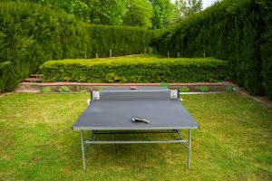 Angela-Vendeghaz-pin-pong